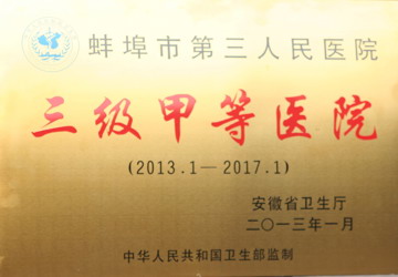三级甲等医院铜牌