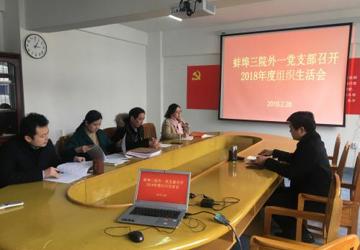 蚌埠三院外一党支部班子召开2018年度组织生活会