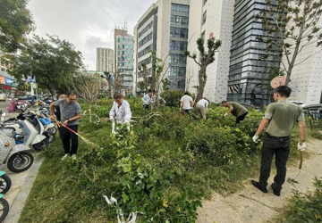 市中心医院行政第九党支部开展院区除草活动