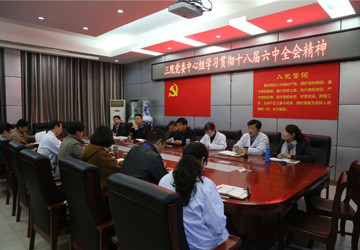 市三院党委学习贯彻十八届六中全会精神