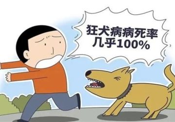 蚌埠市中心医院狂犬病暴露预防处置门诊7x24小时为您服务
