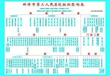 蚌埠市第三人民医院组织架构表