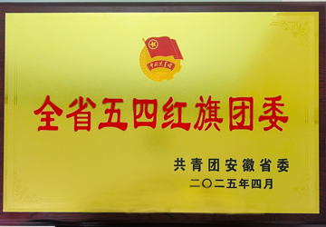 点赞！蚌埠市中心医院团委荣获“全省五四红旗团委”称号